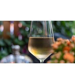 IRSAI OLIVÉR vs. SAUVIGNON BLANC